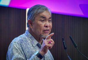 BN pusat dan negeri sehaluan, kata Ahmad Zahid.
