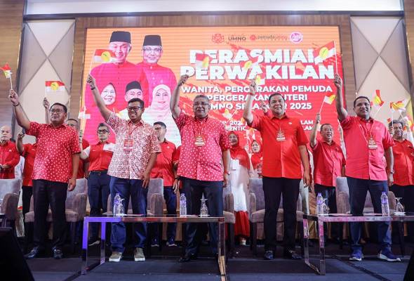 Abdul Raof pangku jawatan Ketua UMNO Kota Raja